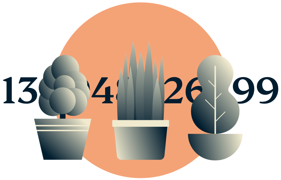 Disguise your IP address: Potted plants hiding an IP address.
